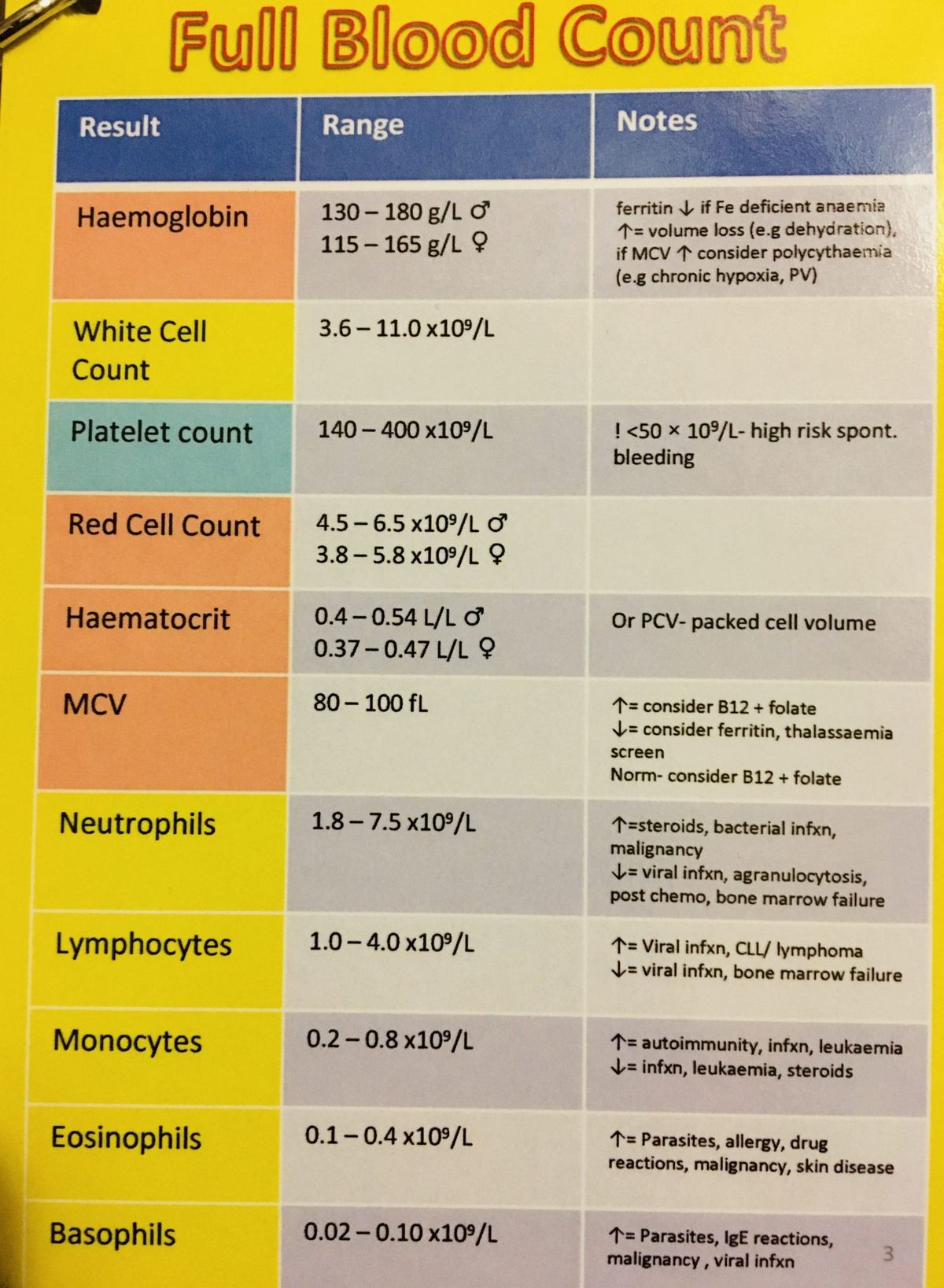 What Are the 5 Main Blood Tests Risk Results Meanings