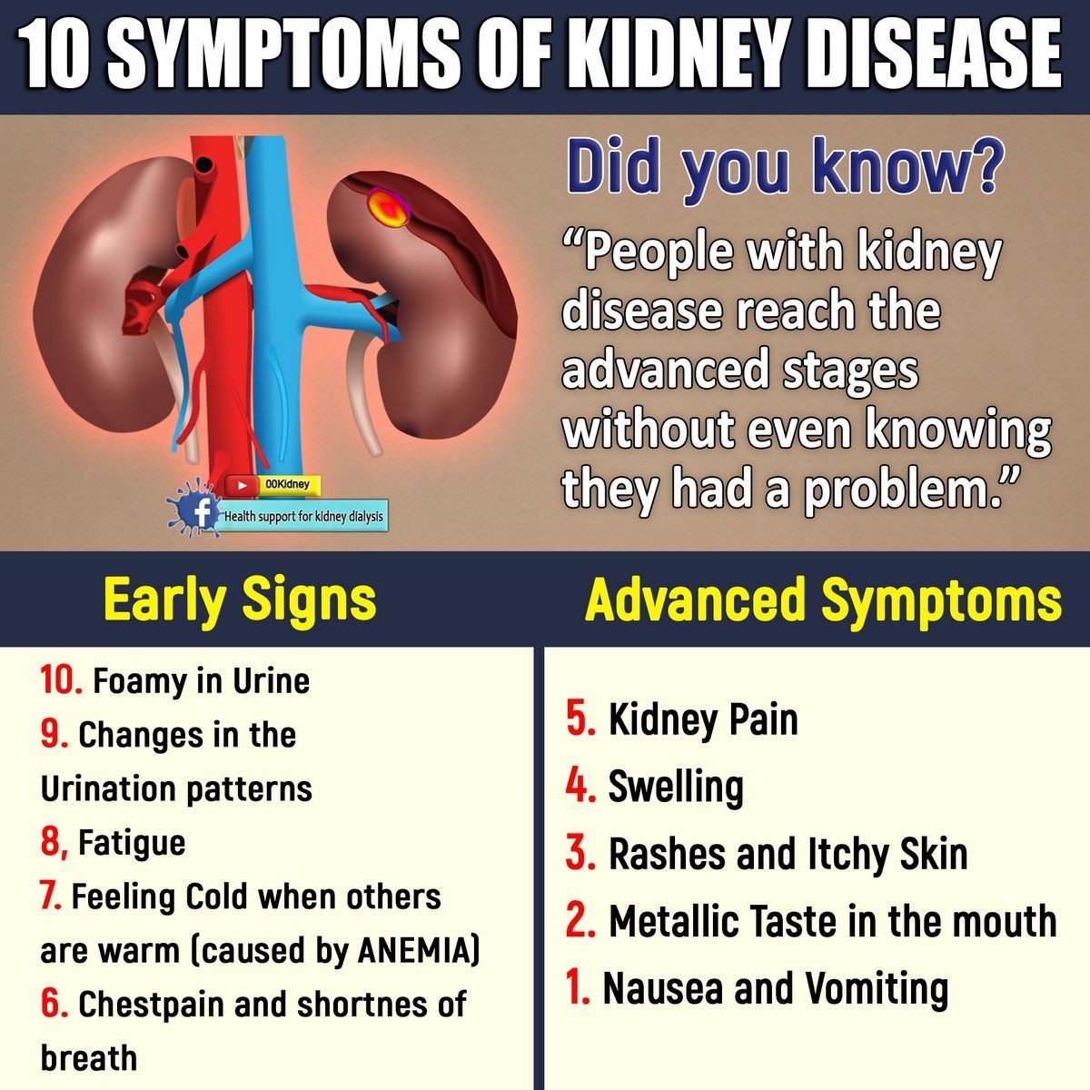 What Are the First Signs of Kidney Problems Symptoms Types Stages