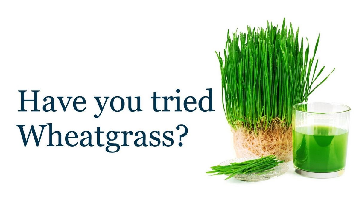 What Does Drinking Wheatgrass Every Day Do for Your Body