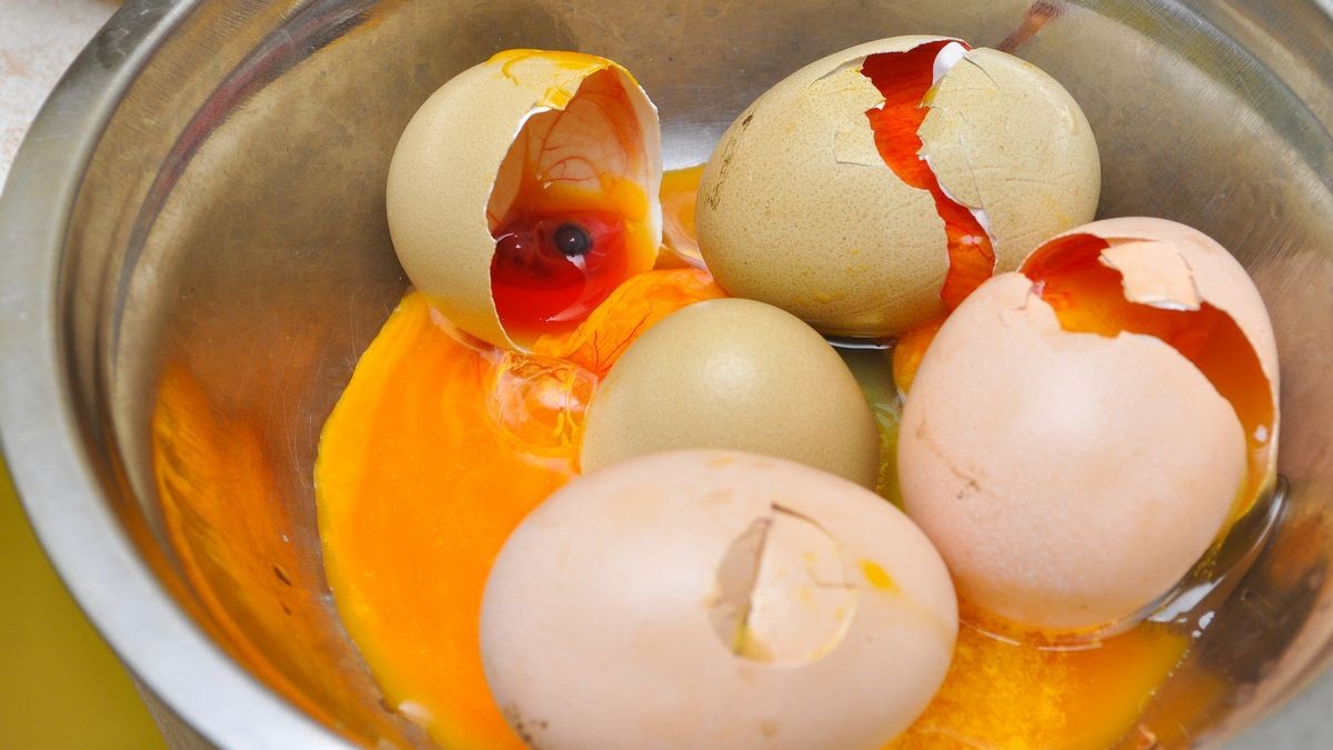 What Happens If I Eat Expired Eggs Food Poisoning Symptoms