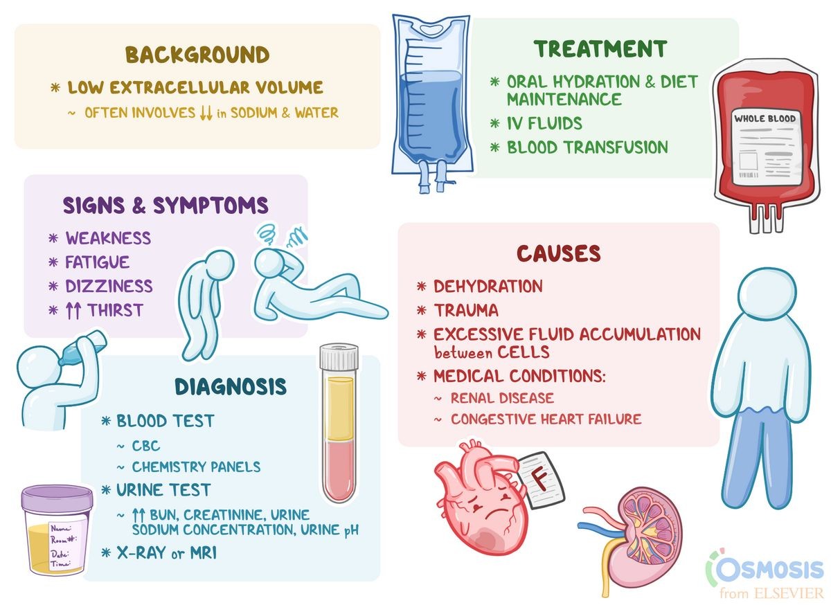 What Happens When You Go into Shock Trauma Symptoms Causes Types