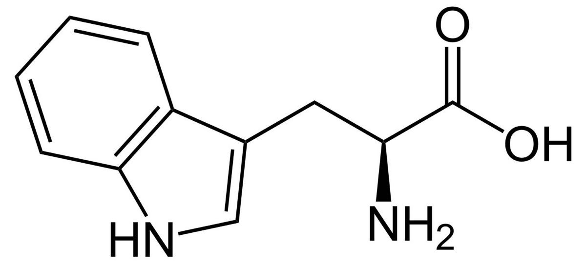 What Is L-Tryptophan and Does It Have Side Effects