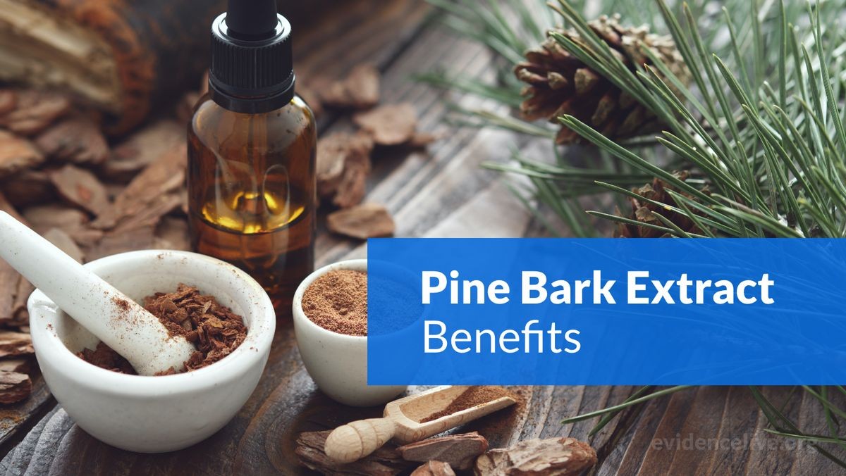 What Is Pine Bark Extract Good for and Are There Side Effects