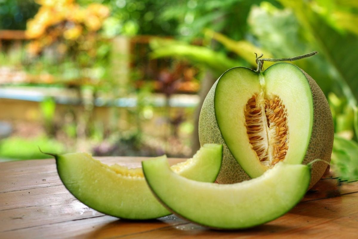 Which Is Better - Honeydew Melon or Cantaloupe