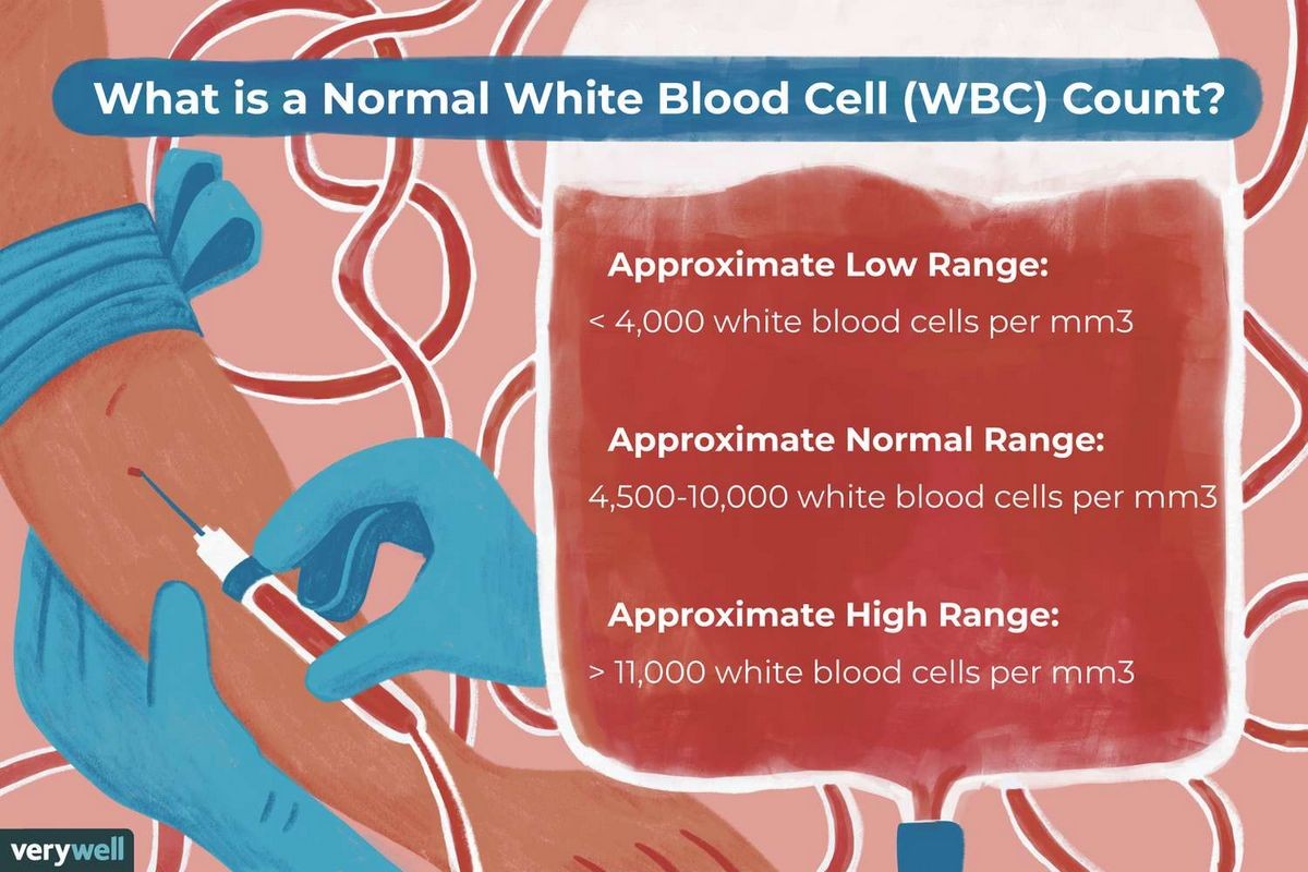 Why Is My White Blood Cell Count High