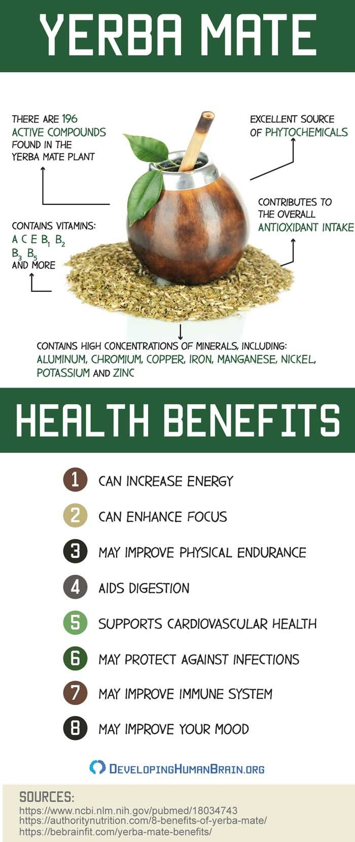 Yerba Mate Tea Benefits Side Effects Dosage